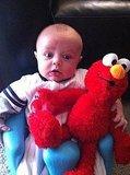 I love Elmo!