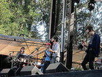 Vetiver