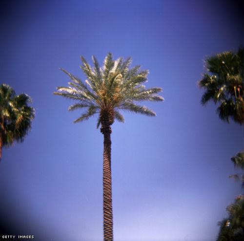 Tips for Saving for a Vacation