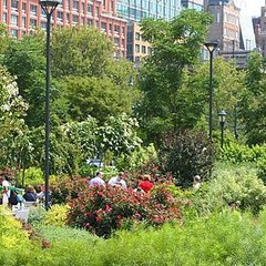 Chelsea Cove Garden