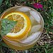 Basil Sangria