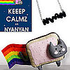 Nyan Cat Stuffed Animal, Buttons, Prints and T-Shirt