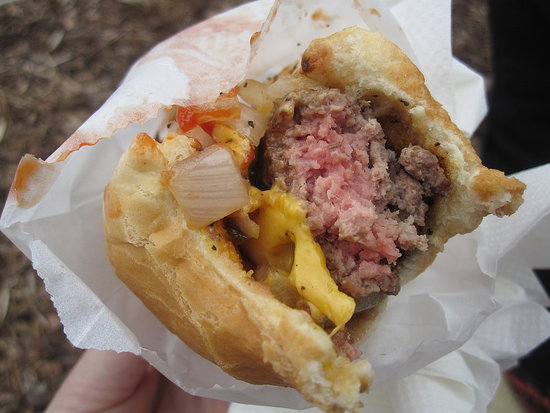Burger in a Hot Dog Bun