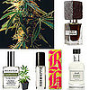 Marijuana-Inspired Perfumes