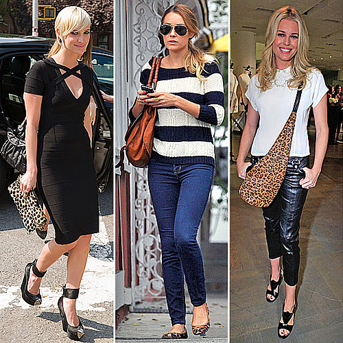 Celebrity Leopard Print Accessories