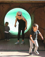Gwen Stefani With Kingston and Zuma at Zoo Pictures Gwen Stefani With Kingston and Zuma at Zoo Pictures