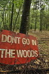 Don't Go in the Woods