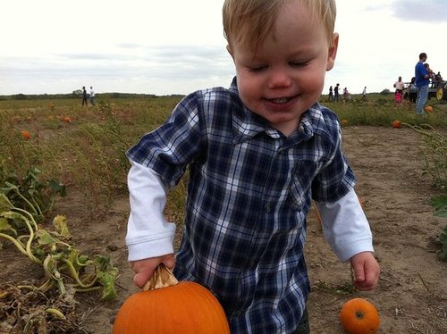 My pumpkin!