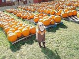 Pumpkin Patch Visit