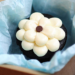 Sugar Bliss Cupcakes