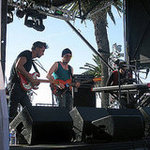 Wild Beasts