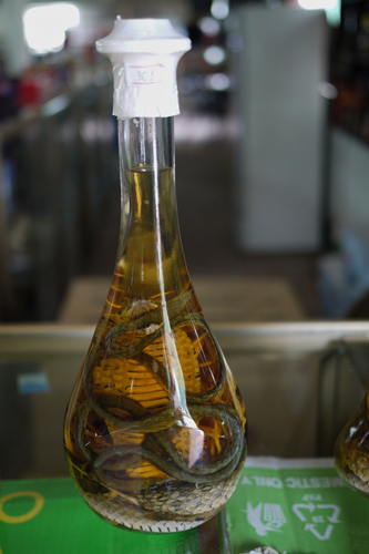 Snake Wine Snake Wine