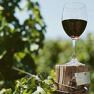 Tips For Visiting Wineries