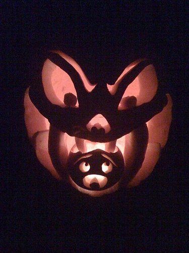 Pumpkin eating pumpkin :-)