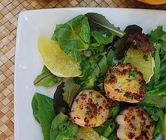 Coriander Scallops with Orange Ginger Dressing