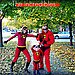The Incredibles Family 