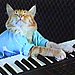 Keyboard Cat
