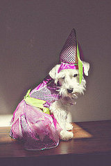 princess yuki