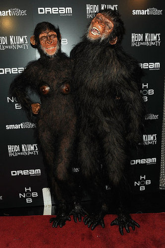 Monkeying Around Monkeying Around