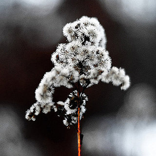 Winter Perfume Tips