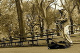 True NYC Talent