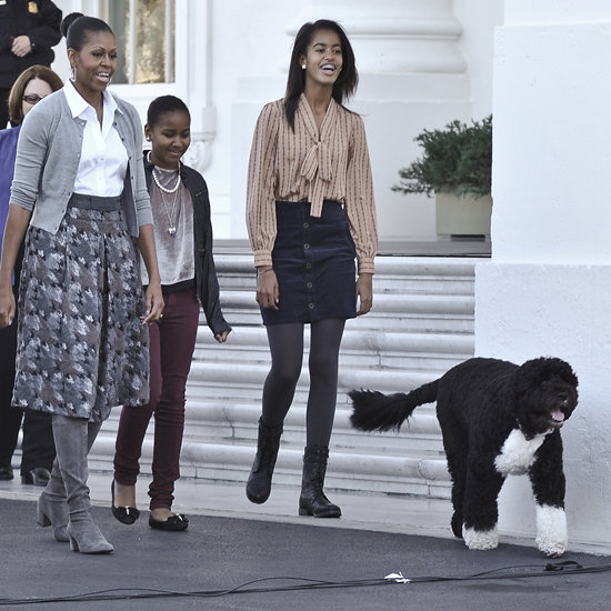 Bo Obama With White House Christmas Tree