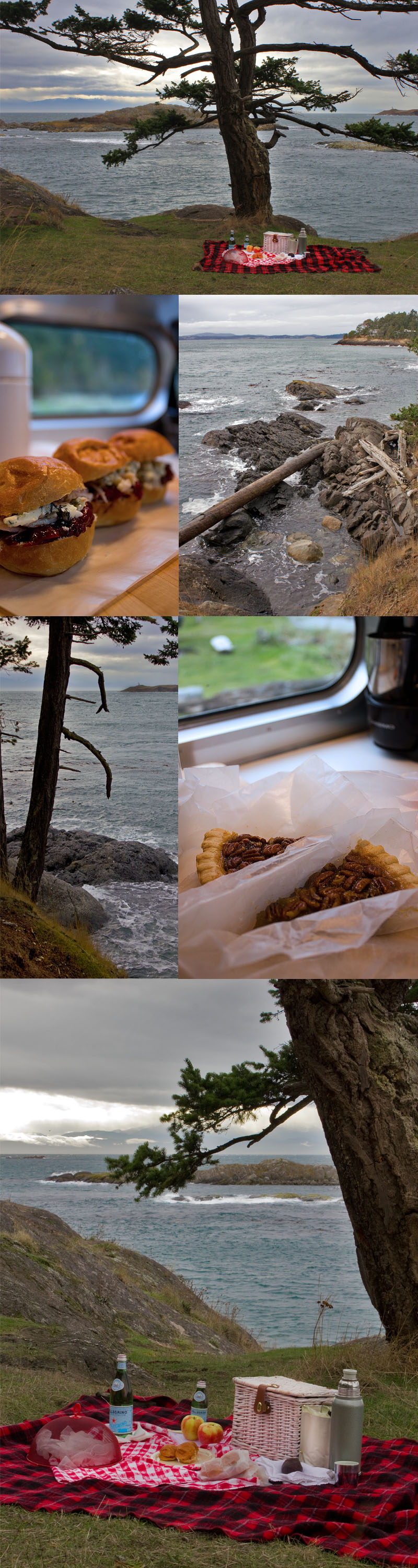 Picnic with a view, Shark Reef, Lopez Island