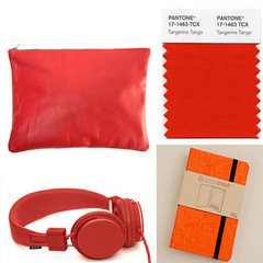 Pantone Color of the Year 2012 Tangerine Tango