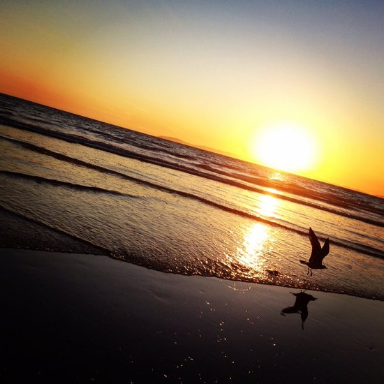 Beach Stroll
