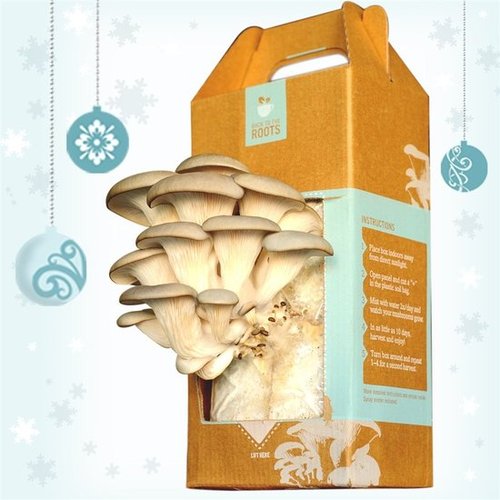 Mushroom Kit - Yields up to 1 1/2 lbs in 10 Days