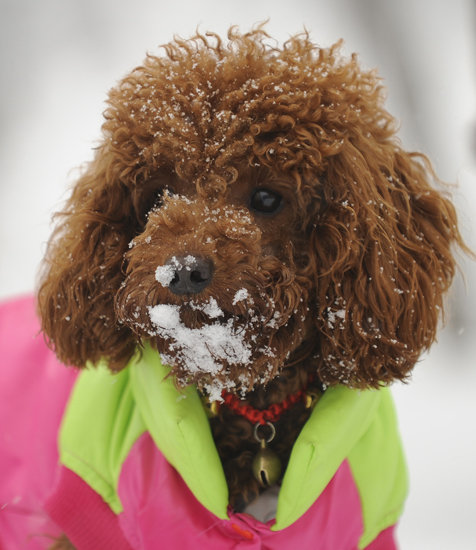 Once enveloped in the warmth of a puffy coat, snow play is fair game.
Source: Getty Images
Once enveloped in the warmth of a puffy coat, snow play is fair game.
Source: Getty Images