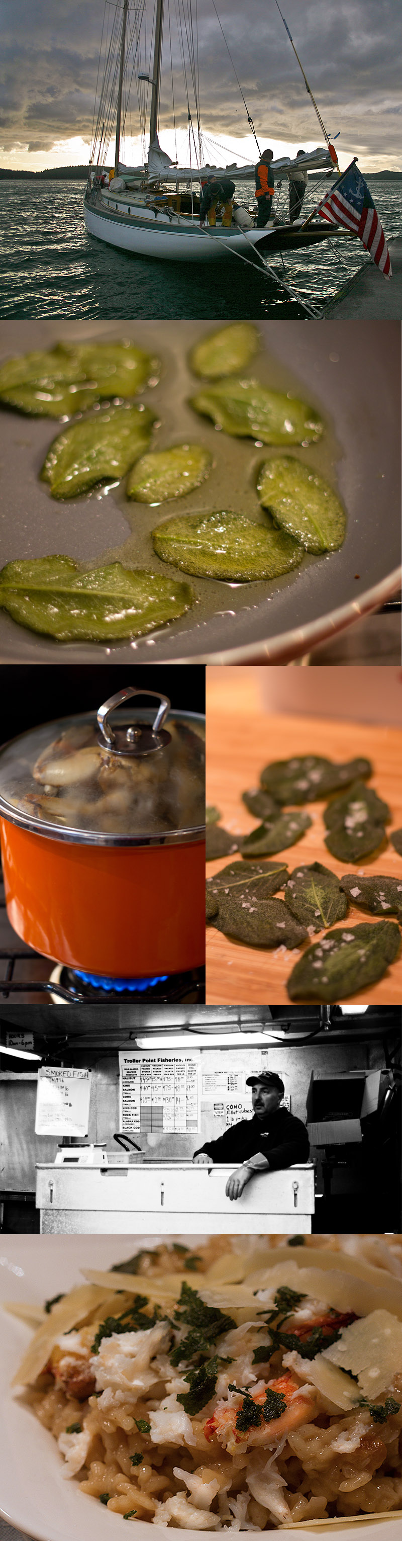 Dungeness Crab Risotto garnished with Fried Sage Leaves