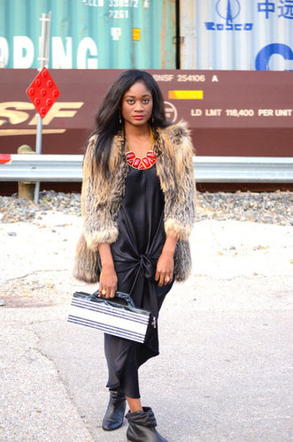 Silk and Fur