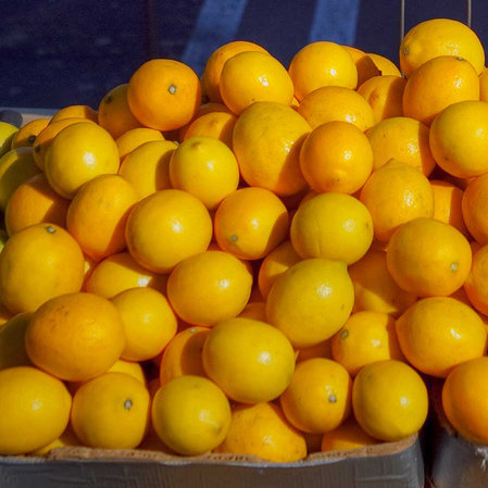 What Is a Meyer Lemon?