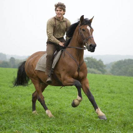 War Horse Movie Review