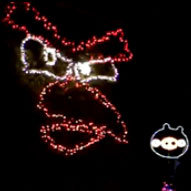 Angry Birds Home Lights Video