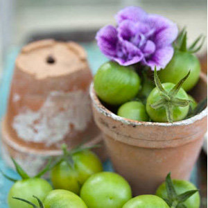 Decorating With Terra Cotta Pots