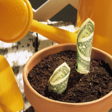 How to Start and Grow Savings