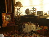 My Office