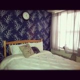 New bedroom for the new year!