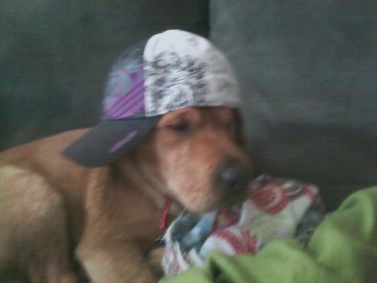 snoop dog malick