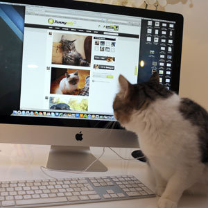 Internet Access Human Right