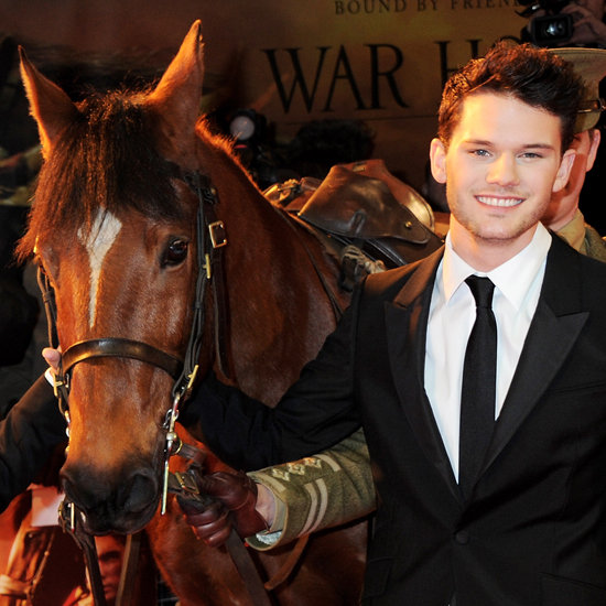 Joey the War Horse Joey the War Horse