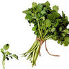 10 Detox Foods