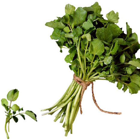 10 Foods to Help You Detox