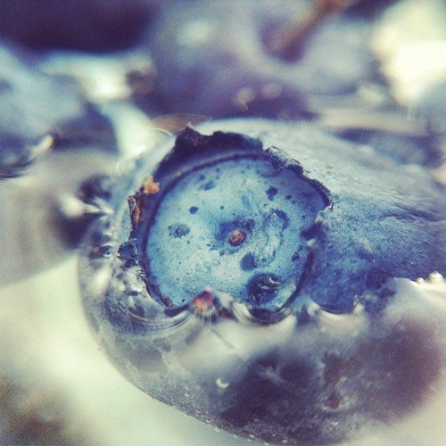 Add a Lens Add a Lens