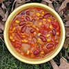 Healthy Chili Recipes