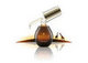 The New Nut in Beauty