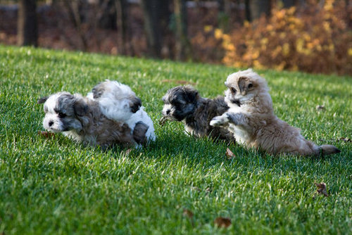 Born free!
Source: Flickr user wsilver
Born free!
Source: Flickr user wsilver