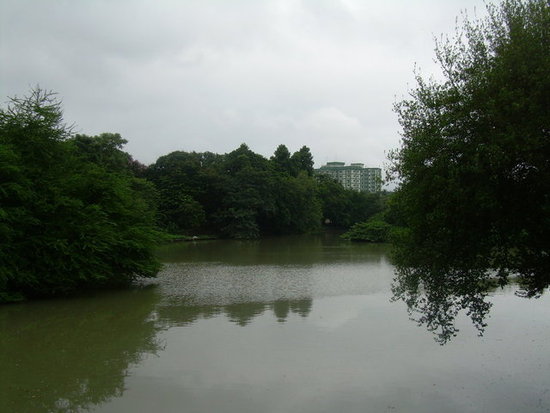 loneliness of nature